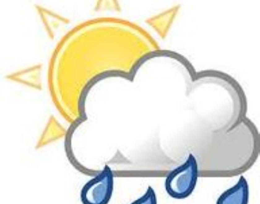 Theme Night at Readifolk