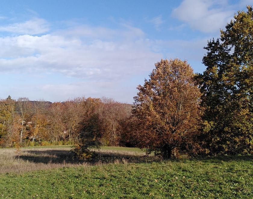 West of Reading Green and Blue Walk