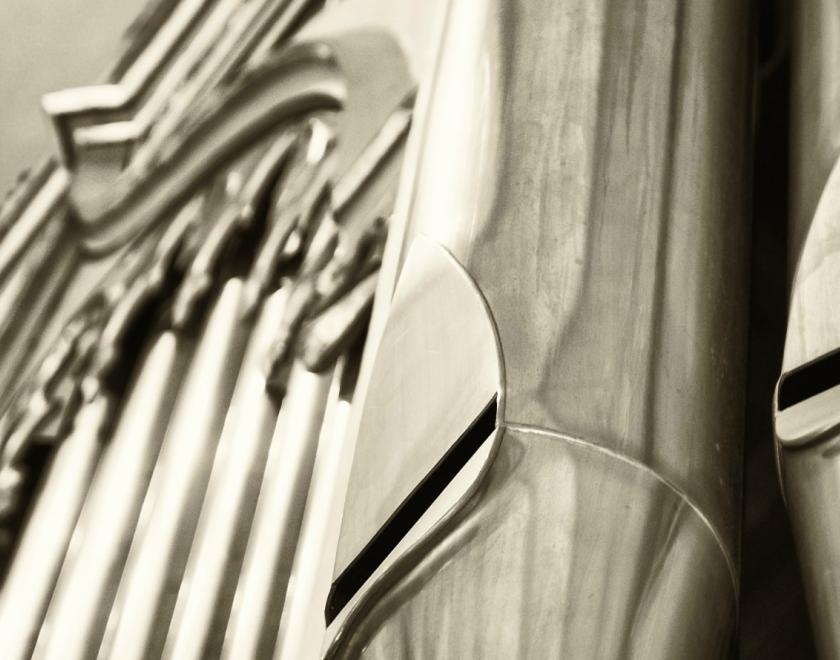 Organ Pipes