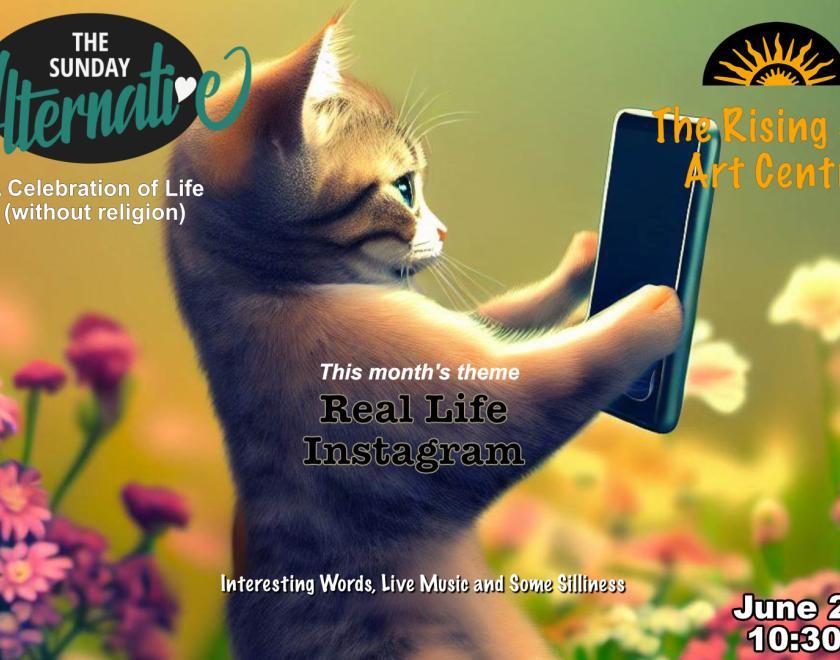 A cat taking a photo with a mobile phone