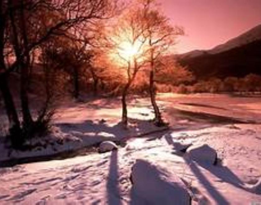 Theme Night at Readifolk