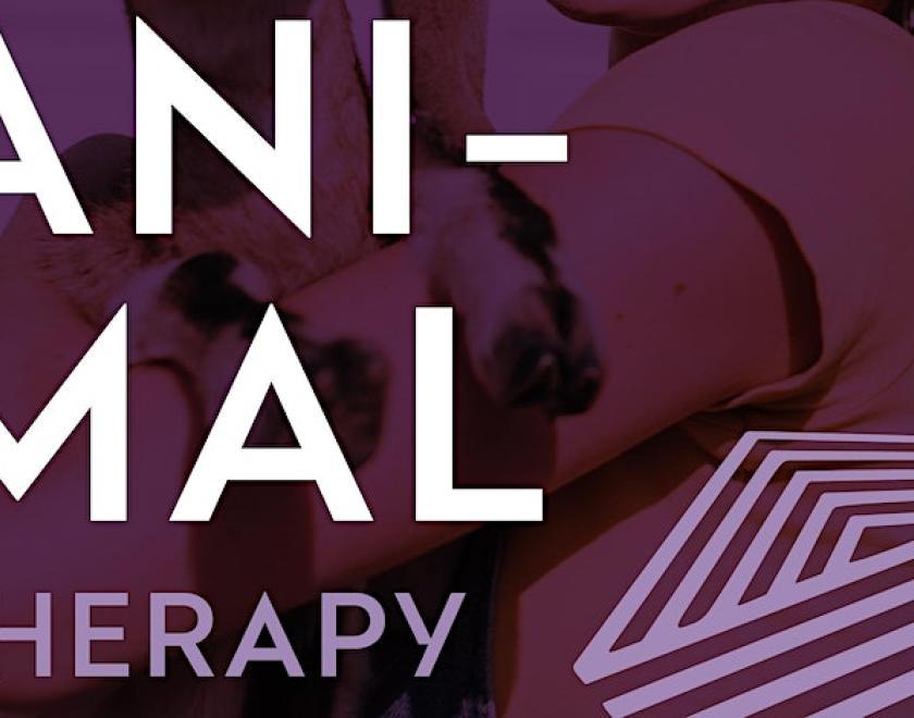 Animal Therapy Afternoon at Thames Valley Park