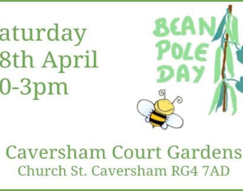 Bean Pole Day poster