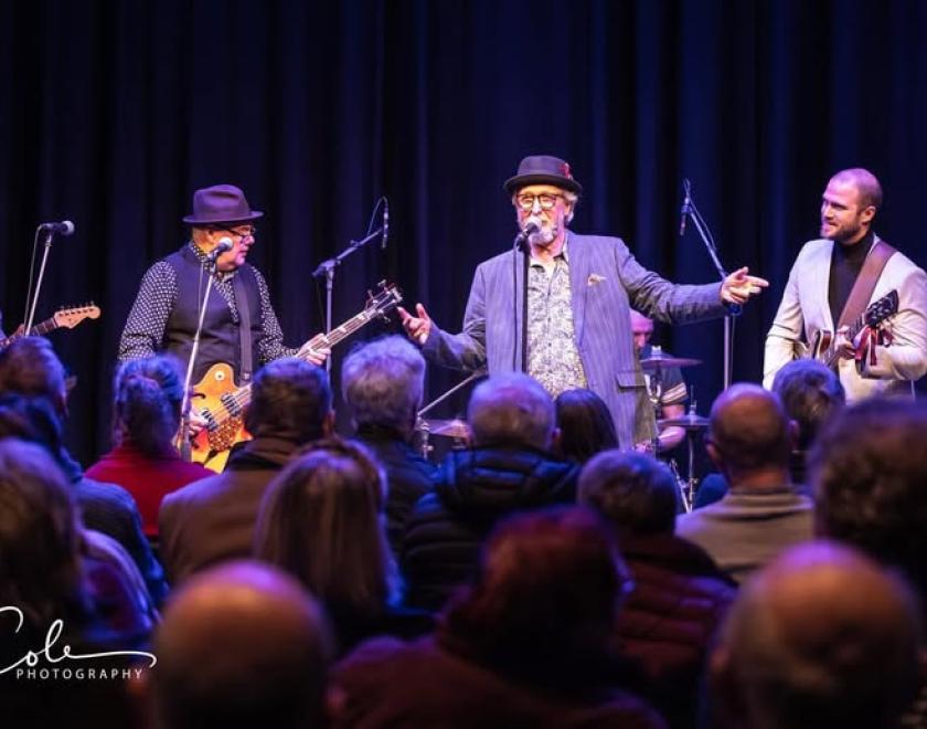 Blues band the Blues Cruise on stage