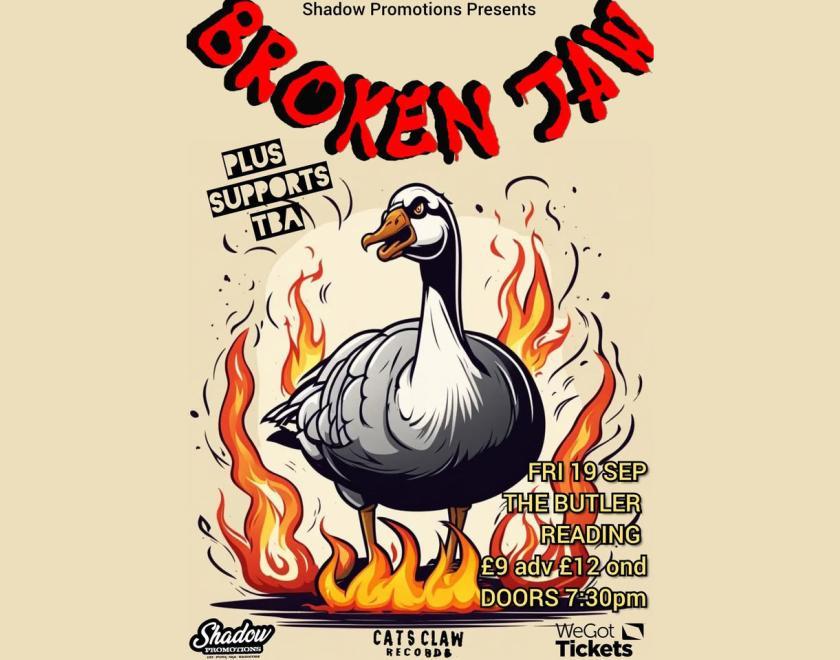 a drawing of a duck on fire