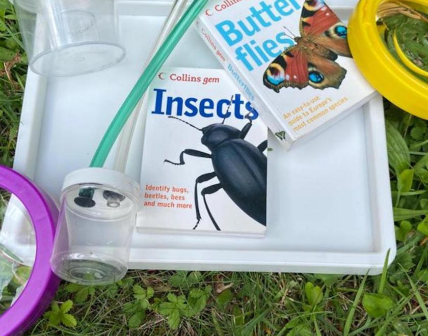Bug hunting kit