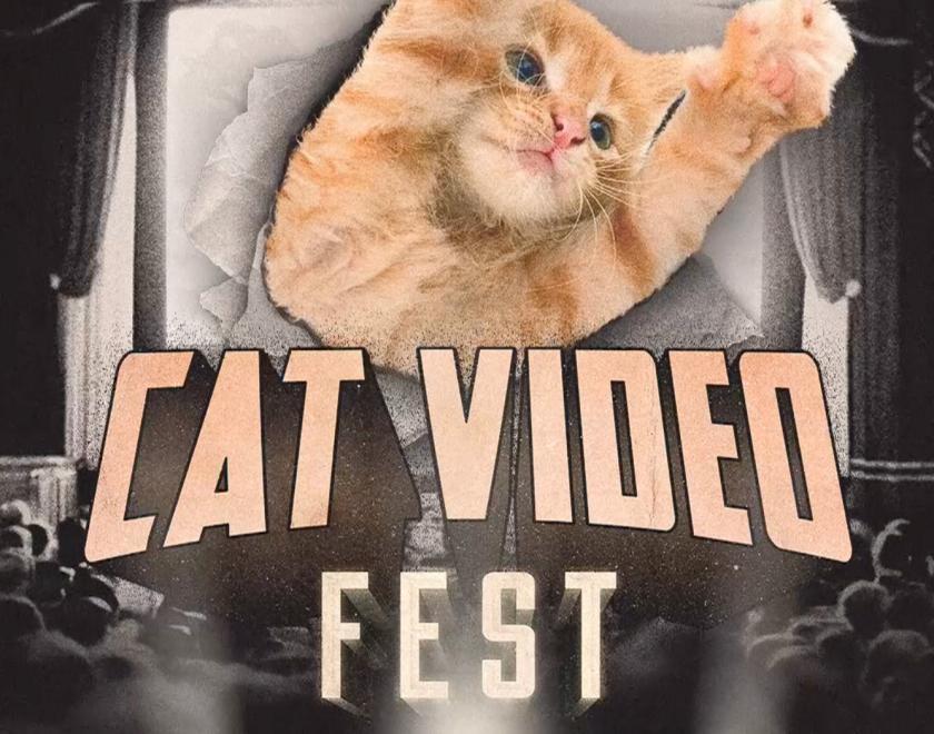poster for CAT VIDEO FEST 2025 with a photo of a cat seemingly bursting through a cinema screen