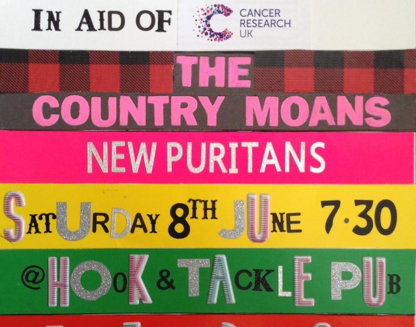 Gig for Cancer Research: The Country Moans & New Puritans