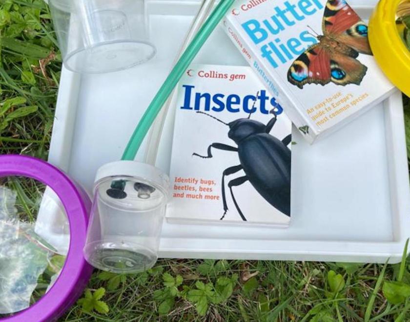 Bug Club: Creepy Crawly Crew