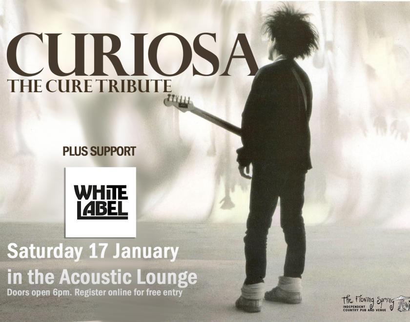 Curiosa, a tribute to The Cure, at The Flowing Spring
