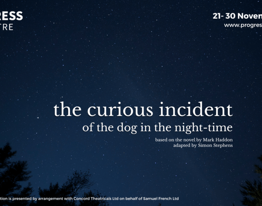 The Curious Incident of the Dog in the Night-Time