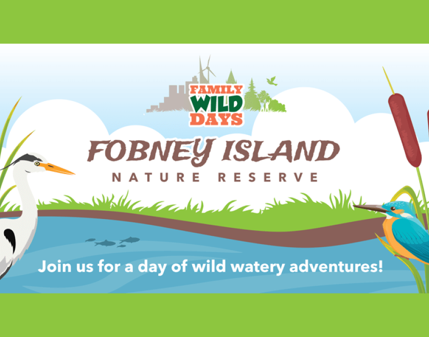 Fobney Fun Day with Nature Nurture and Thames Water