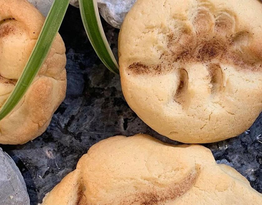 Victorian Fossil Hunters