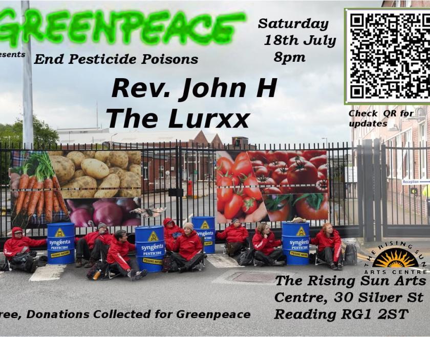 photo of Greenpeace protesters outside a factory