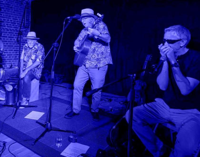 Greg Mayston’s Folk, Blues and Americana band on stage