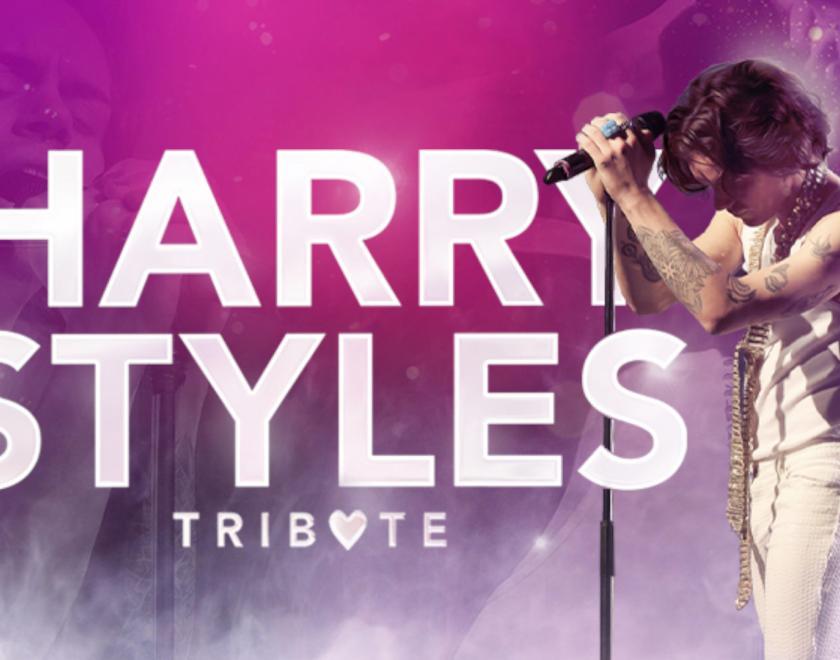Harry Styles Tribute