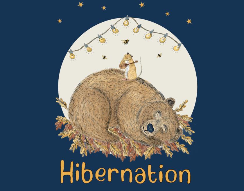 Hibernation