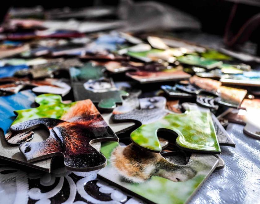 Jigsaw Puzzle Pieces