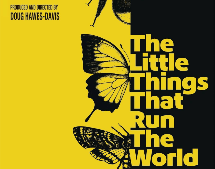 Yellow and black poster for The Little Things That Run the World