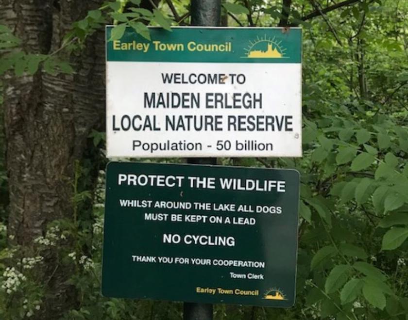 Lake and Woods at Maiden Erlegh