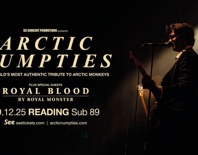 Arctic Numpties logo