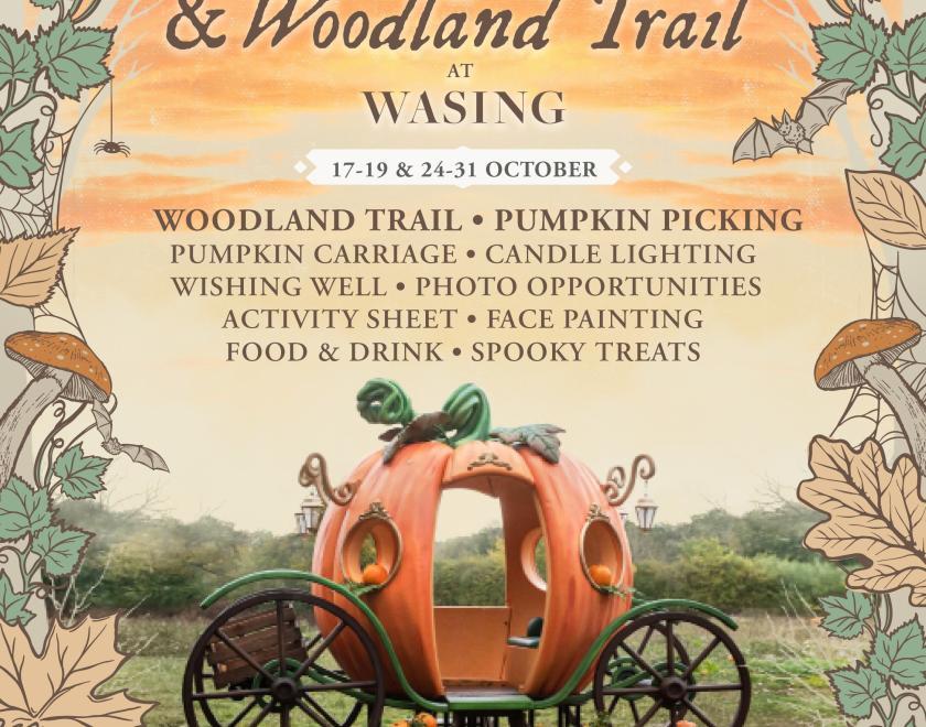 Poster for Pick Your Own Pumpkins and Woodland Trail 2025 with a photo of a carriage that looks like a pumpkin
