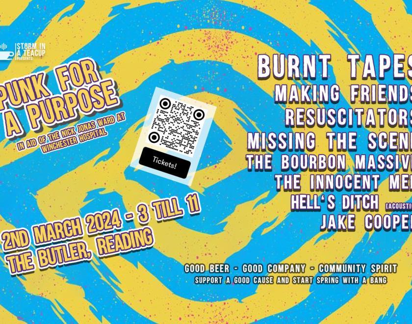 Punk For A Purpose poster