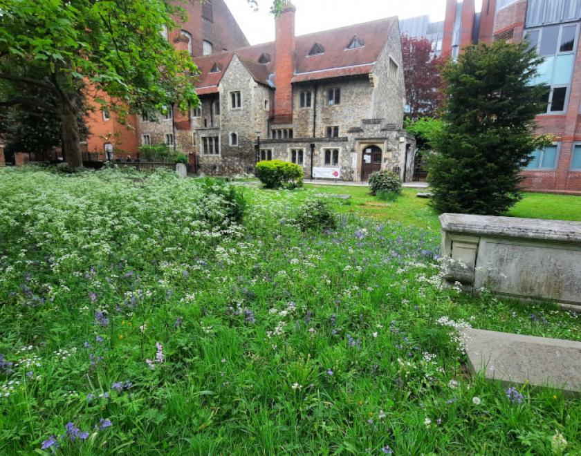 St Laurence’s Churchyard Tour