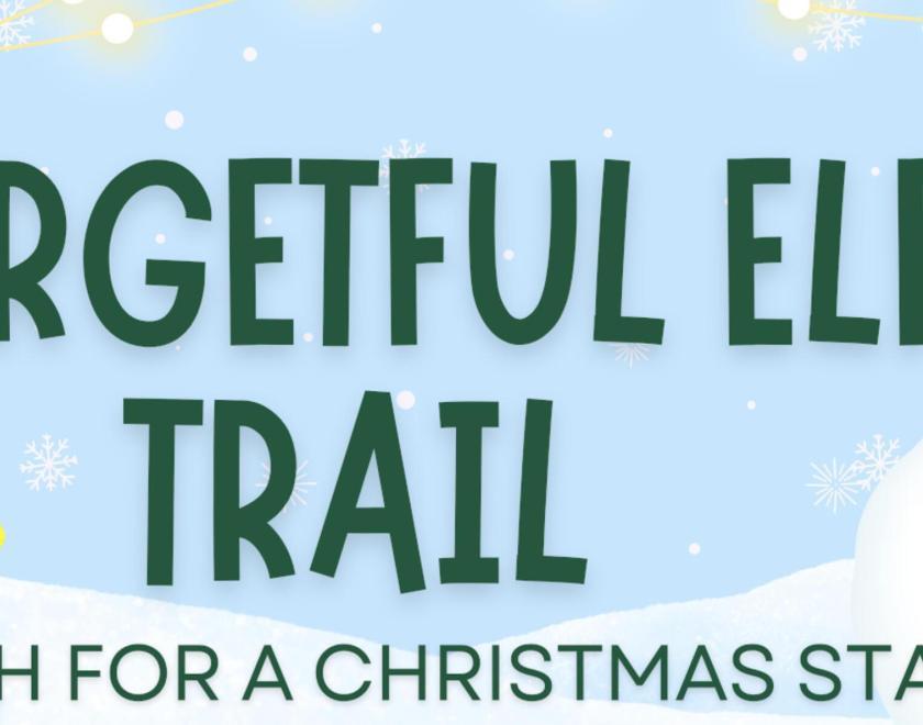 The Forgetful Elf's Search for a Christmas Star