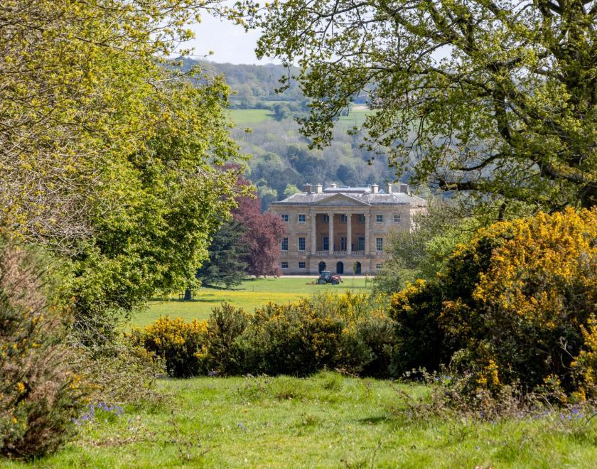 Den building sessions at Basildon Park
