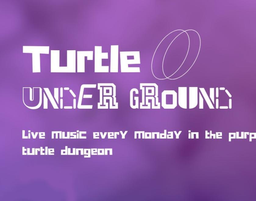 The Turtle Underground