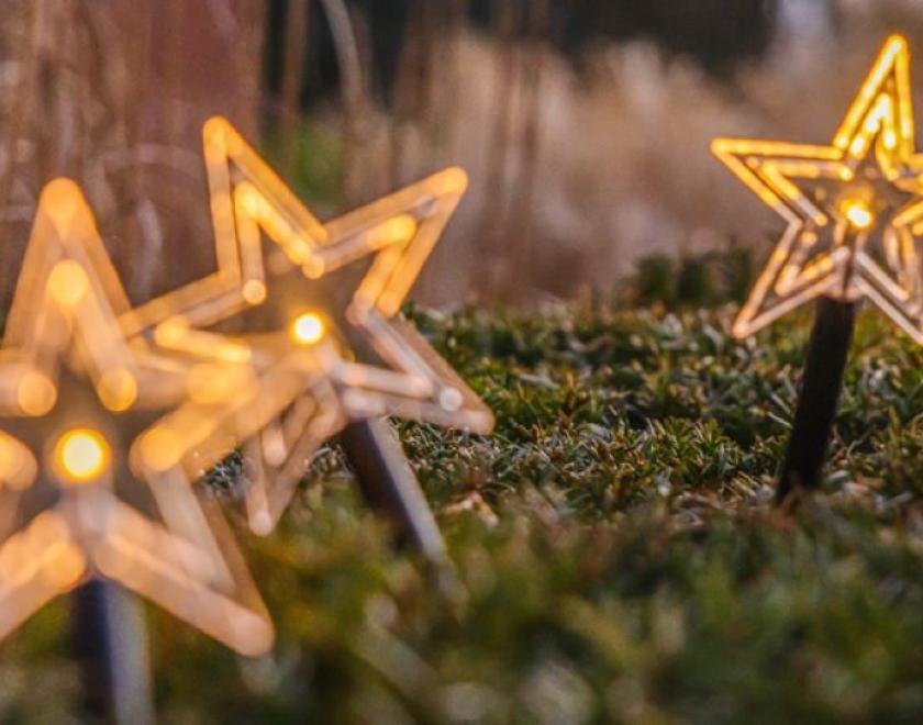 LED stars lighting up the grass