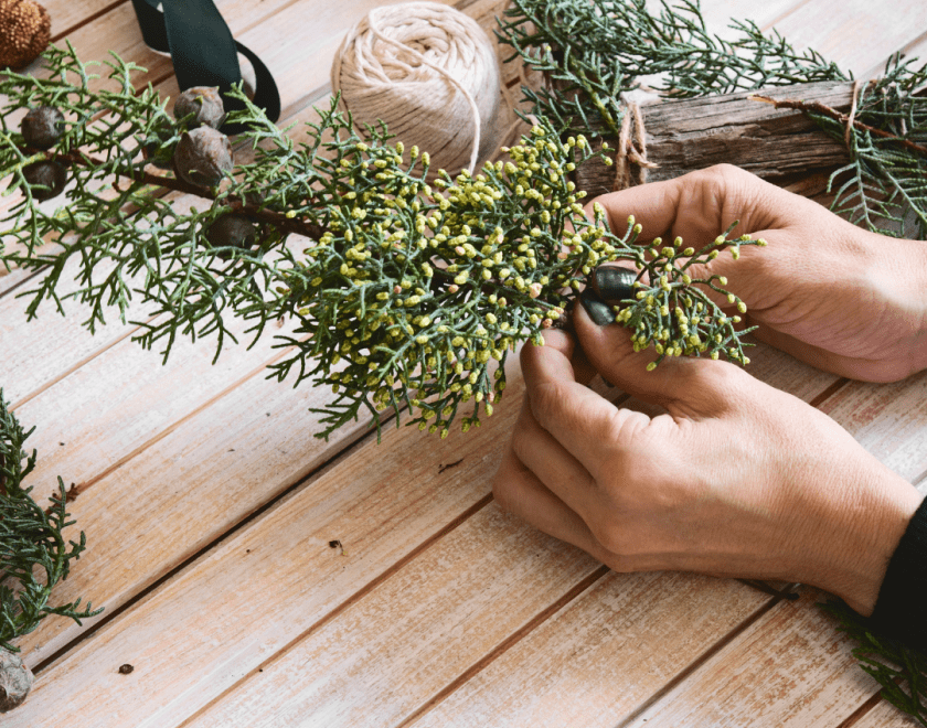 woman's hands arranging plants