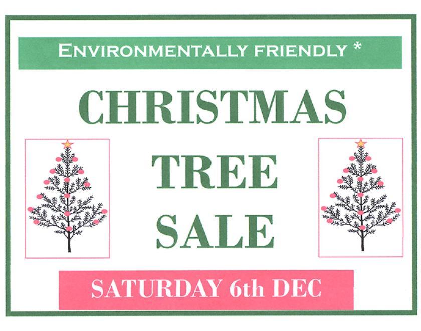 Poster for Christmas Tree sale featuring details of the event and two images of Christmas trees